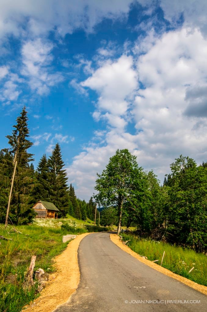 Gradišnica