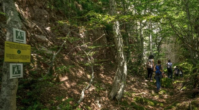 Lubnice: Žljebovi Udovinjice