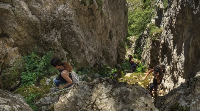 Udovinjica – „Čudo crnogorskog turizma“